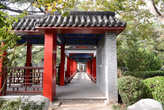 滄口公園走廊