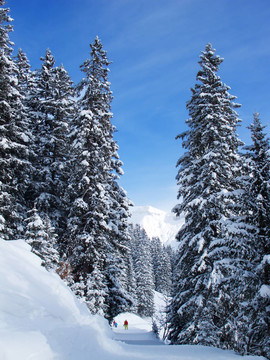 滑雪坡