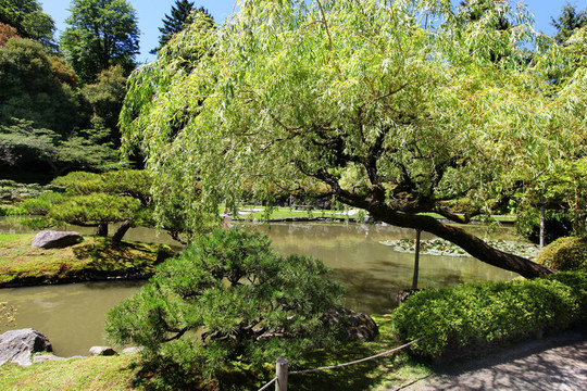 日本式庭園