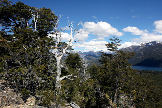 看Bariloche