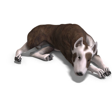 斗牛犬。3D渲染與剪輯路徑和陰影超過白色