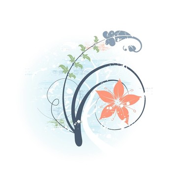 摘要花