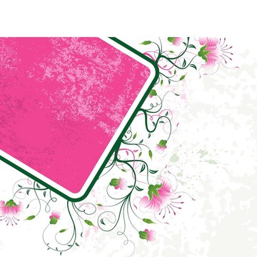摘要花框