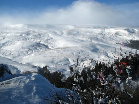 冬季；高寒草甸；高原；木材；積雪