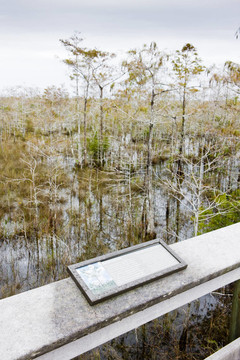 大沼澤地國家公園；佛羅里達州；美國