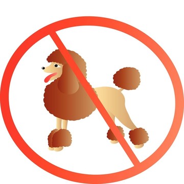 標(biāo)志與貴賓犬