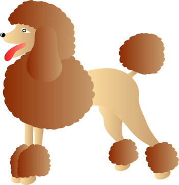 貴賓犬