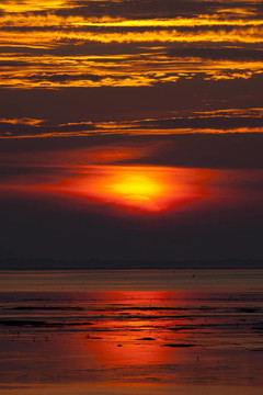 美麗的夕陽(yáng)紅