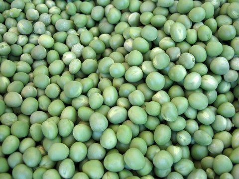 大豌豆殼豌豆