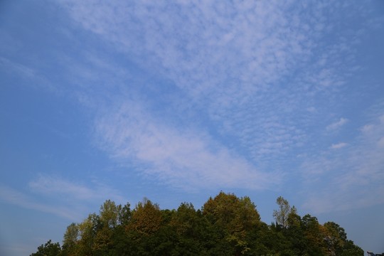 山林天空
