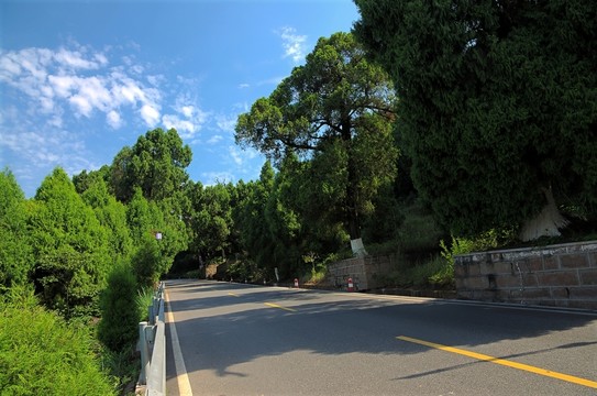 景區(qū)的公路