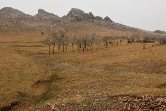 荒山野嶺