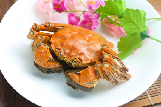 陽澄湖大閘蟹