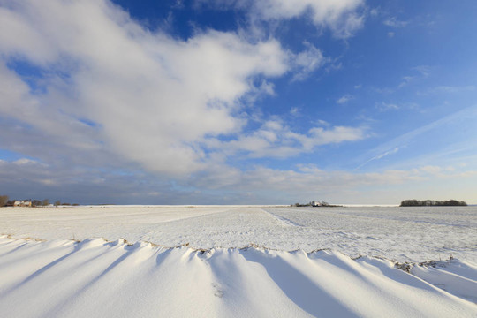 snowdunes在荷蘭北部sneeuwduinen Het F