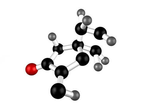 X分子