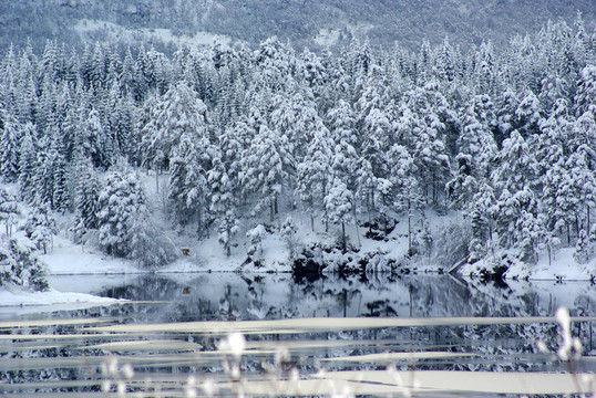 雪