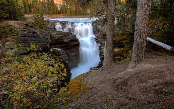 Athabasca Falls在阿爾伯塔賈斯珀國家公園；