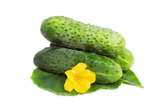 綠色的黃瓜蔬菜葉子和花分離