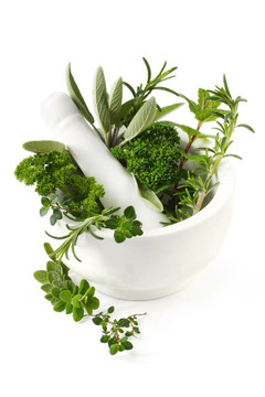 草本植物