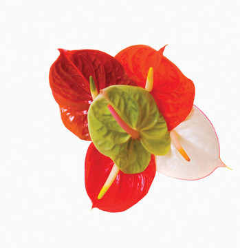 花束