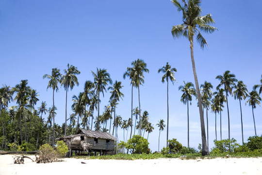 熱帶島嶼上的土著小屋