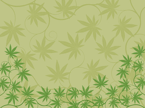 花的背景