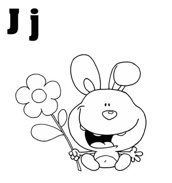 概述兔