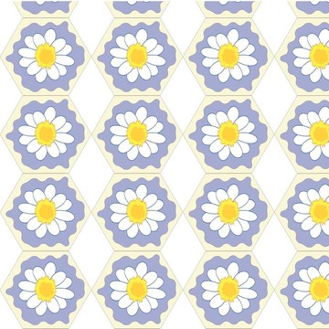 花camomiles紋理。