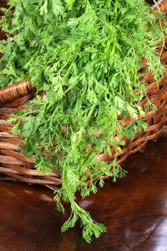 有機香菜在籃子里