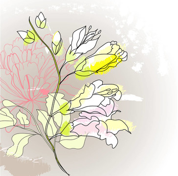 浪漫的花朵