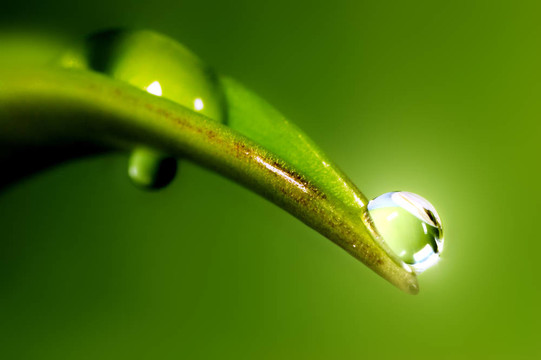 水滴