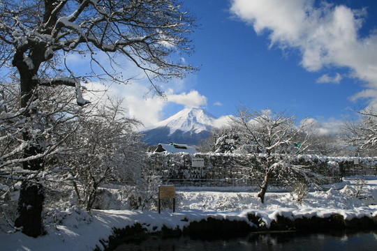 富士山