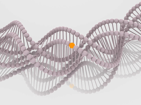 基因在DNA