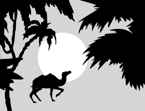 向量的熱帶風(fēng)景與Palm的前景