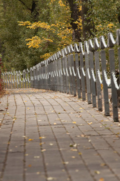 通路在公園