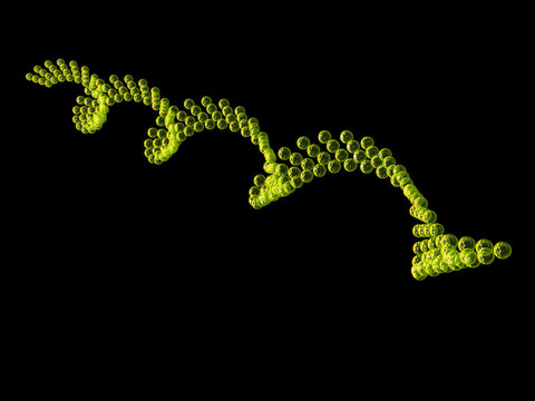 基因在DNA