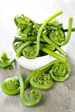 特色蕨菜