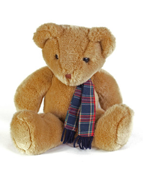 在白色背景上的一個(gè)格子支架Teddy Bear。