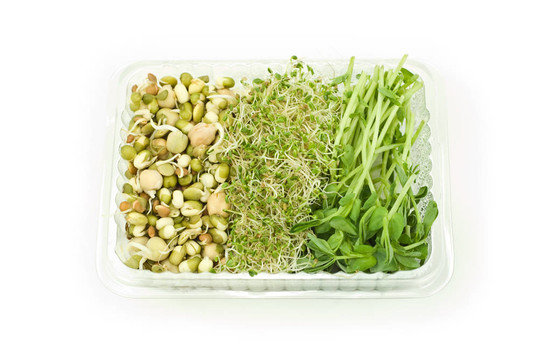有機(jī)豆芽