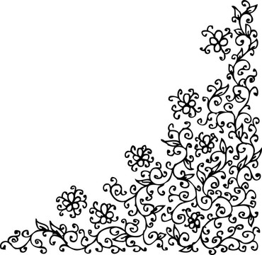 精致的花卉插圖21