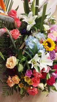 花卉鮮花