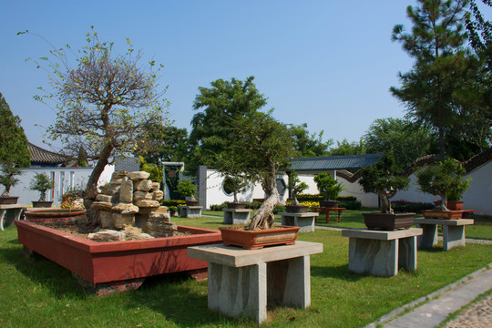 園林景觀設(shè)計(jì)