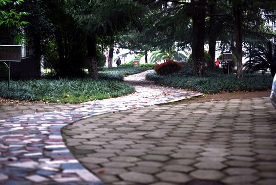 路