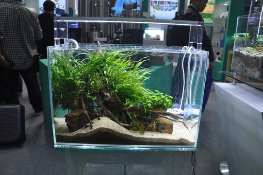 魚缸