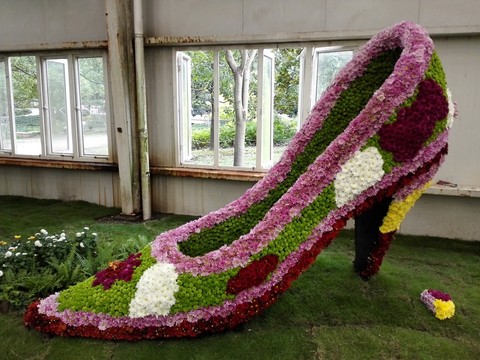 上海菊花展