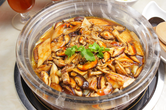山珍菌焖锅 焖锅