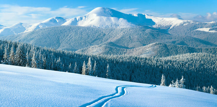 冬山全景