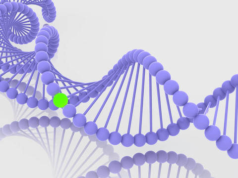 基因在DNA