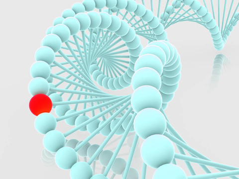基因在DNA