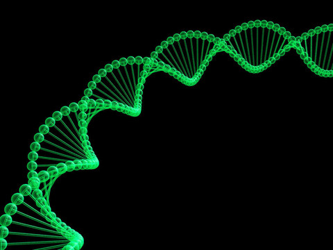 基因在DNA